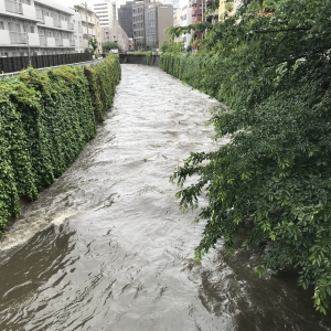 神田川の流れ
