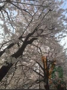 暦ってすごいなぁ